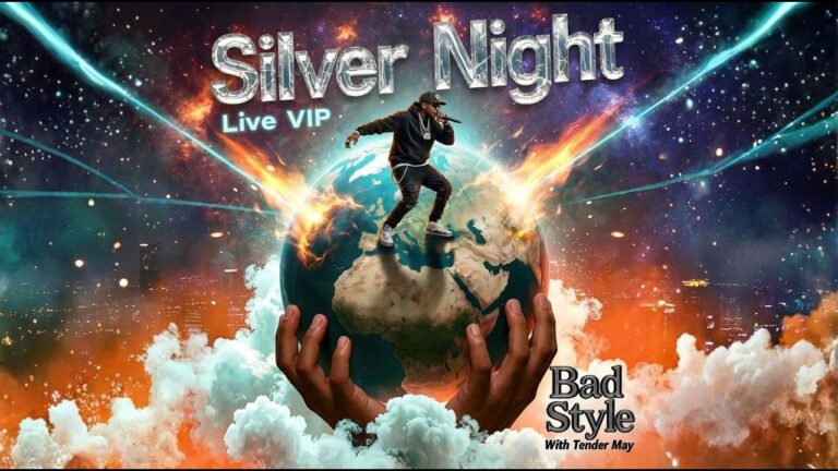 Silver Night (Live VIP) - Bad Style and Tender May